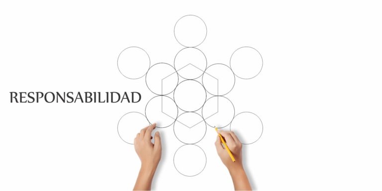 BANNER CONSTRUCCION MARCA PAC PRINCIPIOS 3